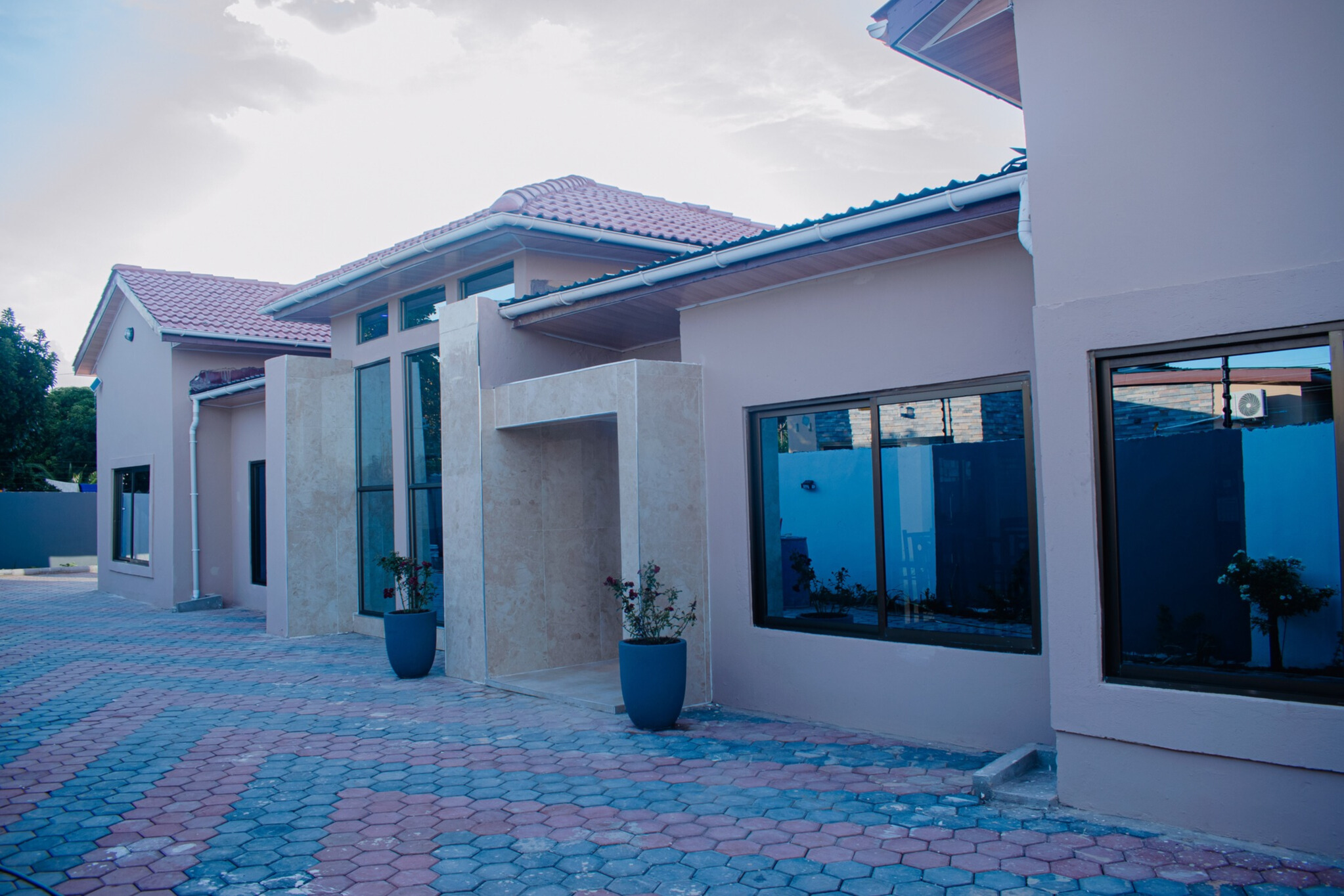 Contact Hamerkop Ventures